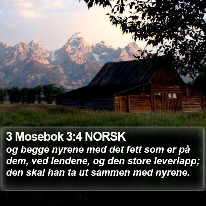 3 Mosebok 3:4 NORSK Bible Study
