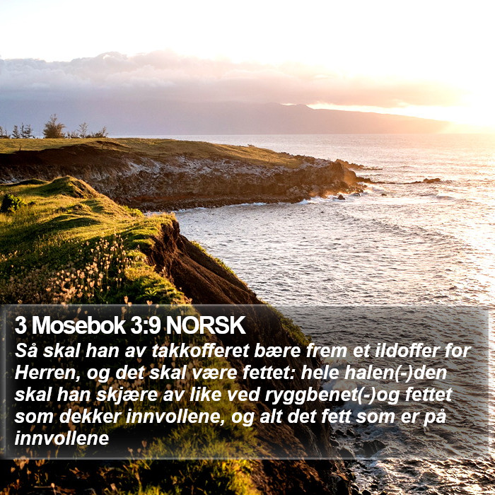 3 Mosebok 3:9 NORSK Bible Study