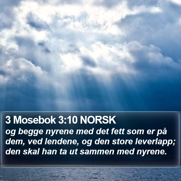 3 Mosebok 3:10 NORSK Bible Study