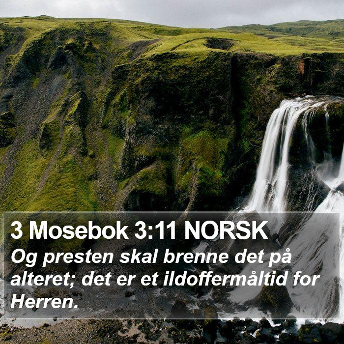 3 Mosebok 3:11 NORSK Bible Study