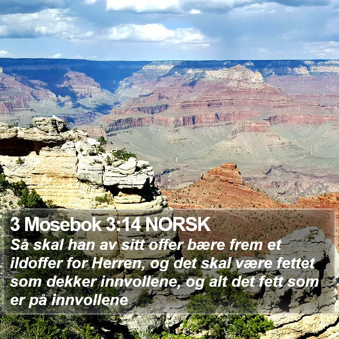 3 Mosebok 3:14 NORSK Bible Study