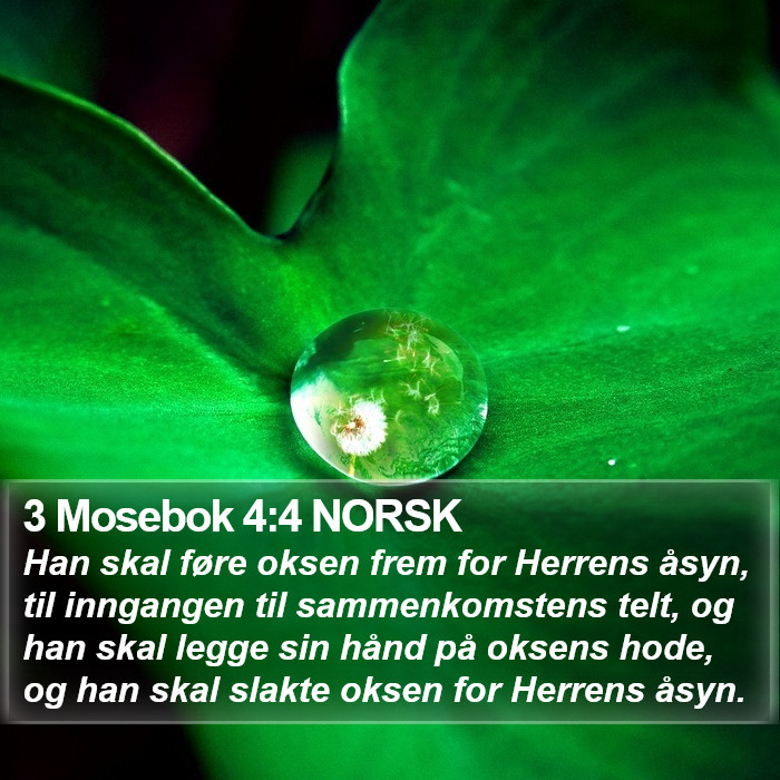 3 Mosebok 4:4 NORSK Bible Study