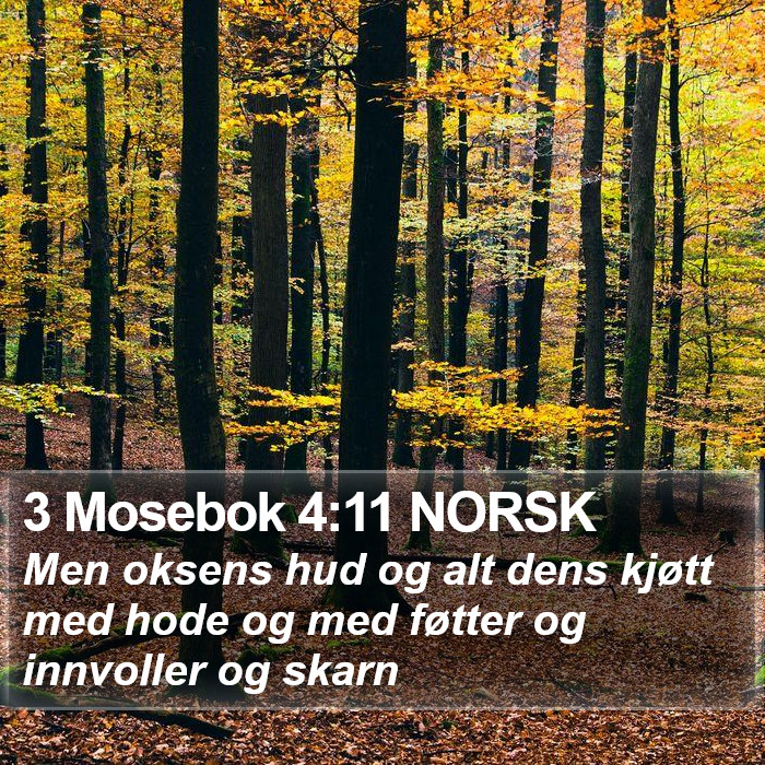 3 Mosebok 4:11 NORSK Bible Study