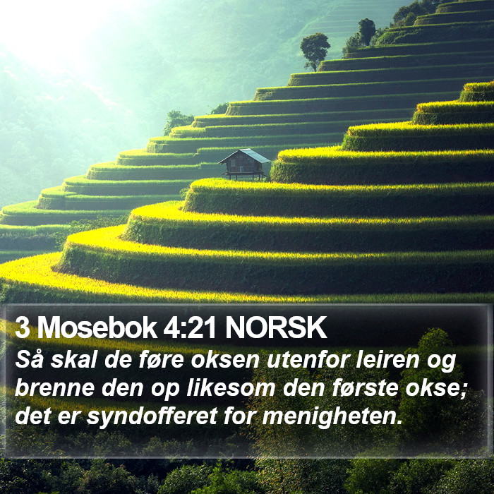 3 Mosebok 4:21 NORSK Bible Study