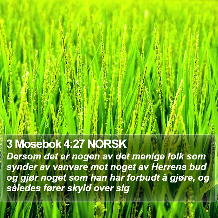 3 Mosebok 4:27 NORSK Bible Study