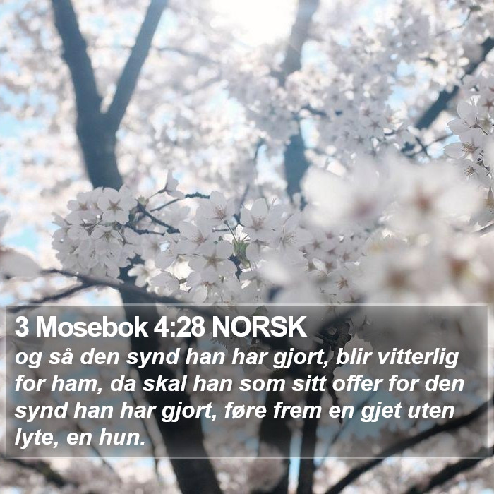 3 Mosebok 4:28 NORSK Bible Study