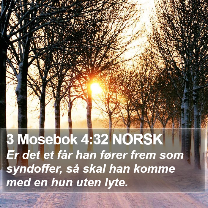 3 Mosebok 4:32 NORSK Bible Study