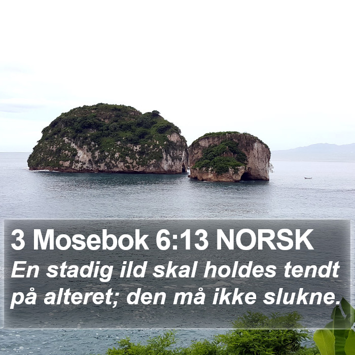 3 Mosebok 6:13 NORSK Bible Study