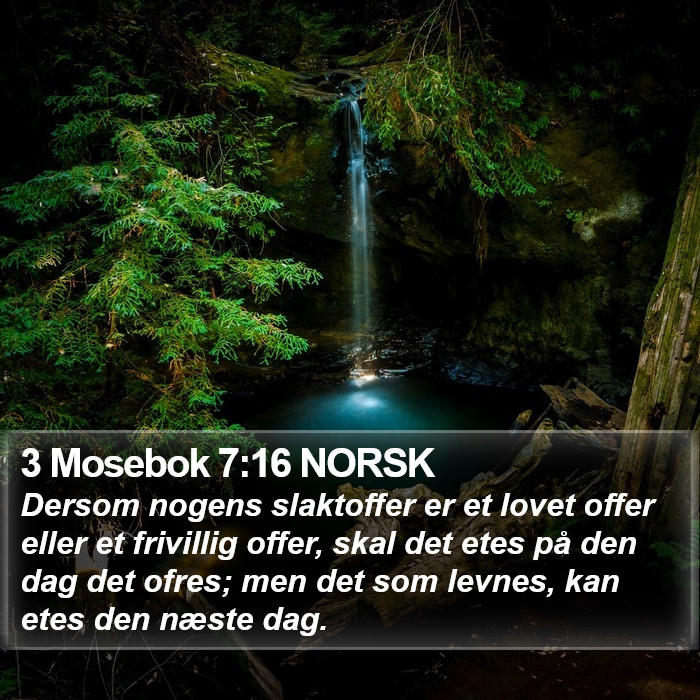 3 Mosebok 7:16 NORSK Bible Study