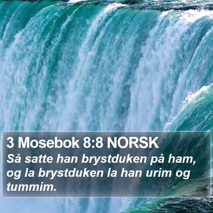 3 Mosebok 8:8 NORSK Bible Study