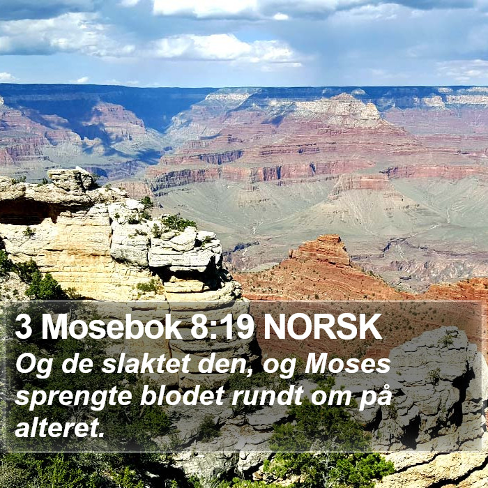 3 Mosebok 8:19 NORSK Bible Study