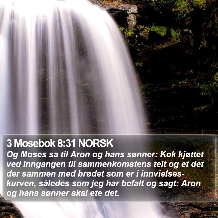 3 Mosebok 8:31 NORSK Bible Study