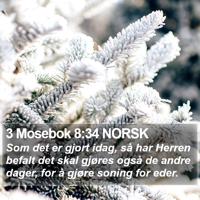 3 Mosebok 8:34 NORSK Bible Study