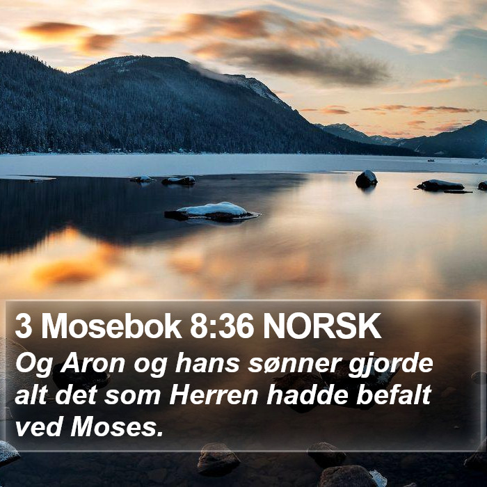 3 Mosebok 8:36 NORSK Bible Study