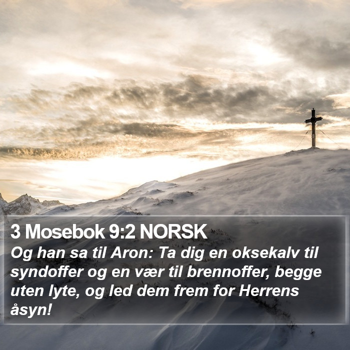 3 Mosebok 9:2 NORSK Bible Study