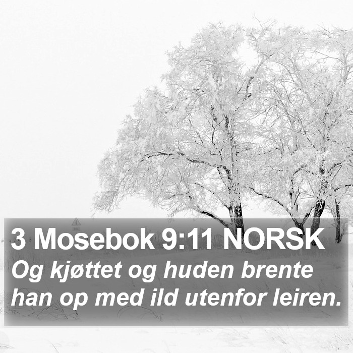 3 Mosebok 9:11 NORSK Bible Study