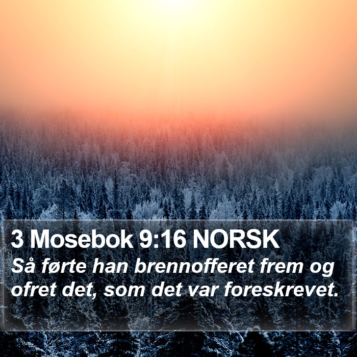 3 Mosebok 9:16 NORSK Bible Study