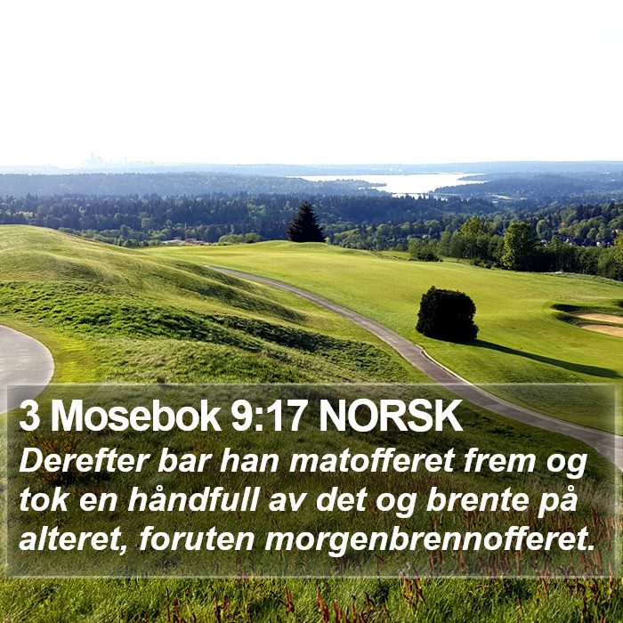 3 Mosebok 9:17 NORSK Bible Study