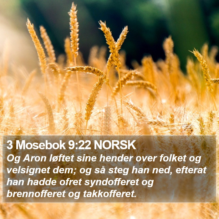 3 Mosebok 9:22 NORSK Bible Study