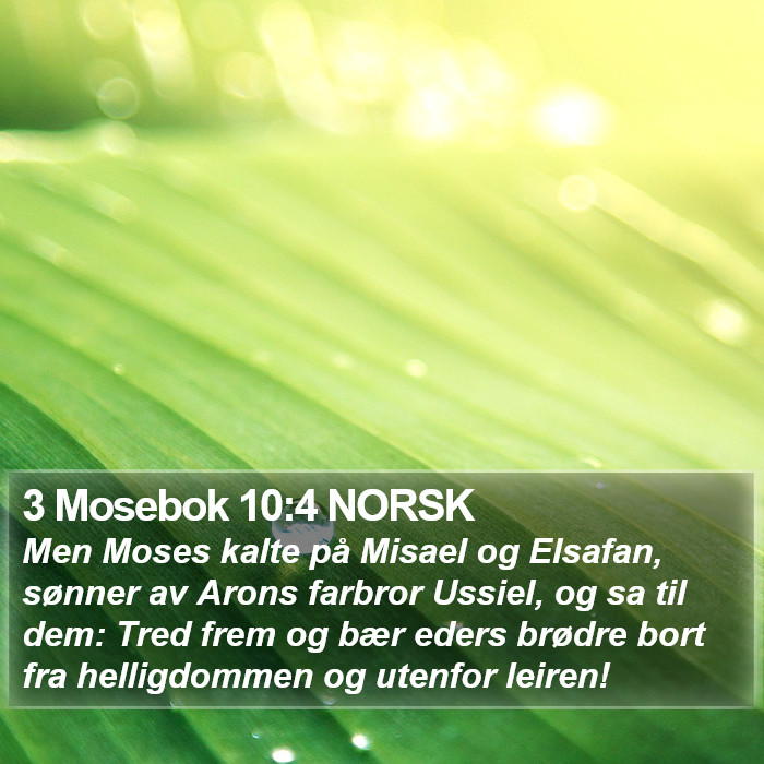 3 Mosebok 10:4 NORSK Bible Study