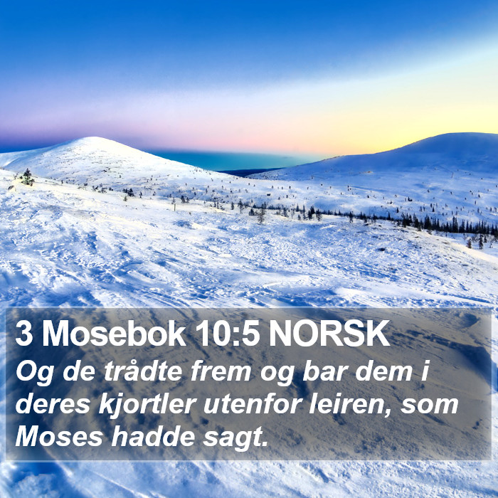 3 Mosebok 10:5 NORSK Bible Study