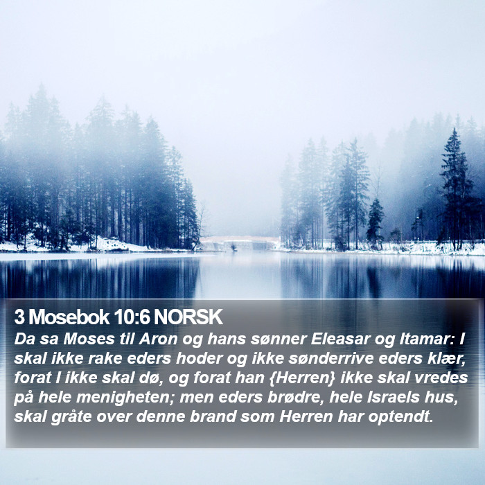 3 Mosebok 10:6 NORSK Bible Study