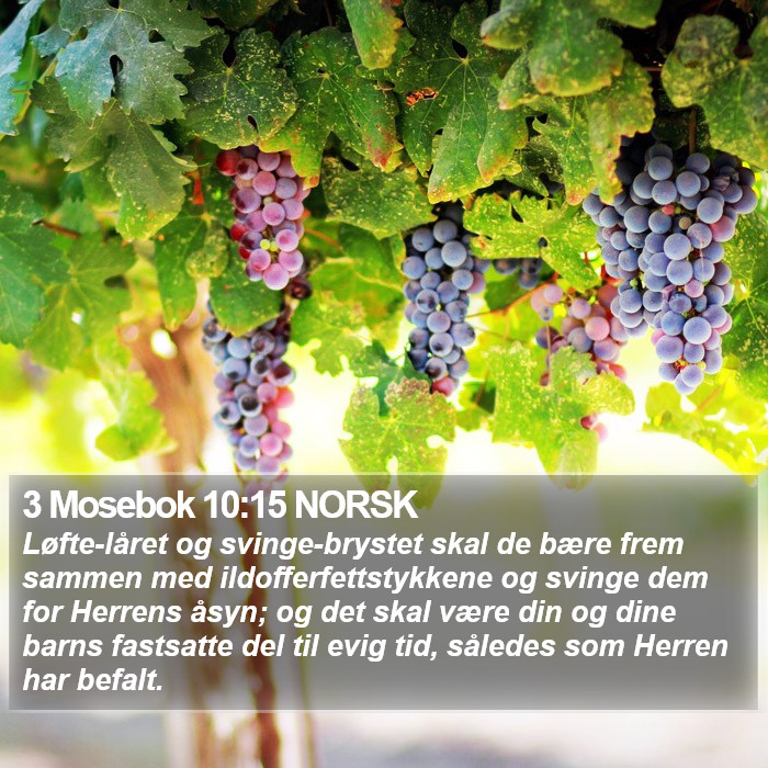 3 Mosebok 10:15 NORSK Bible Study