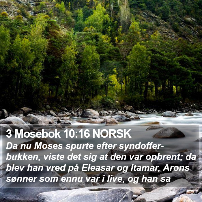 3 Mosebok 10:16 NORSK Bible Study