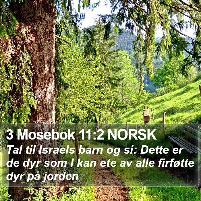 3 Mosebok 11:2 NORSK Bible Study