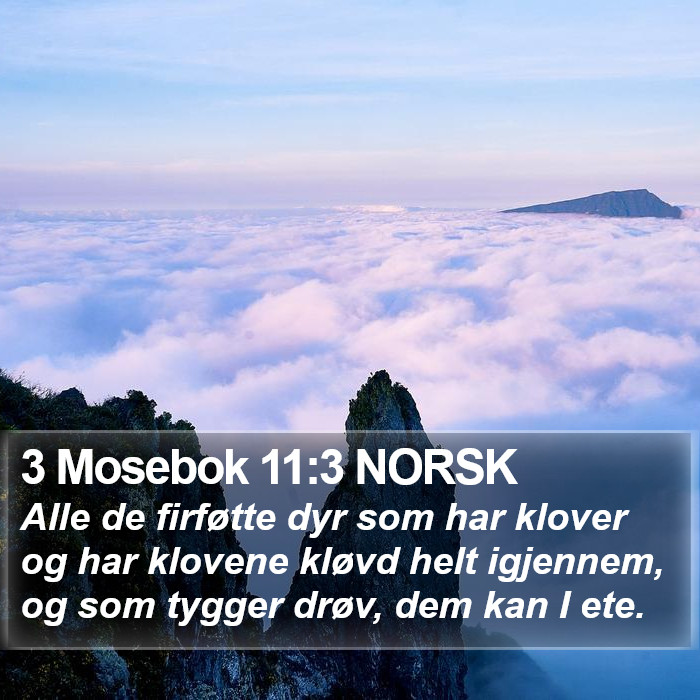 3 Mosebok 11:3 NORSK Bible Study