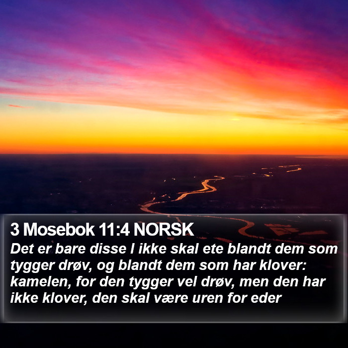 3 Mosebok 11:4 NORSK Bible Study