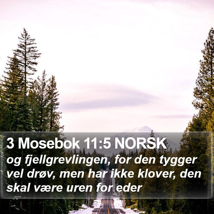 3 Mosebok 11:5 NORSK Bible Study