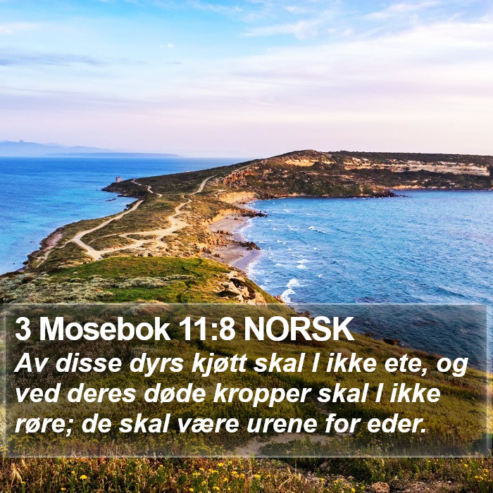 3 Mosebok 11:8 NORSK Bible Study