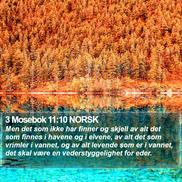 3 Mosebok 11:10 NORSK Bible Study