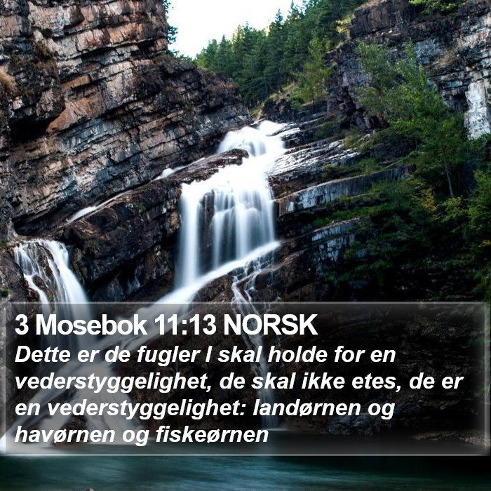 3 Mosebok 11:13 NORSK Bible Study