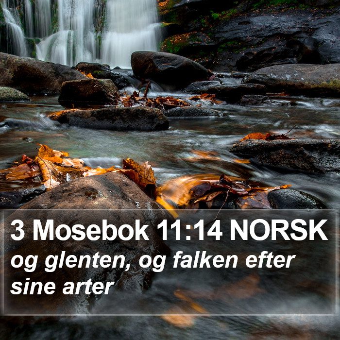3 Mosebok 11:14 NORSK Bible Study