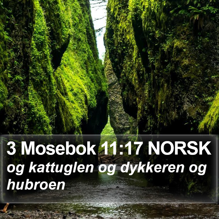 3 Mosebok 11:17 NORSK Bible Study