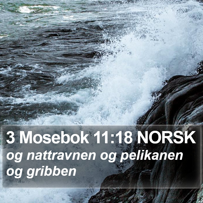 3 Mosebok 11:18 NORSK Bible Study