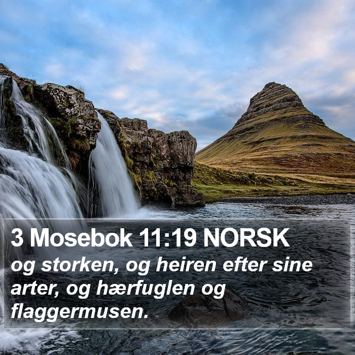 3 Mosebok 11:19 NORSK Bible Study