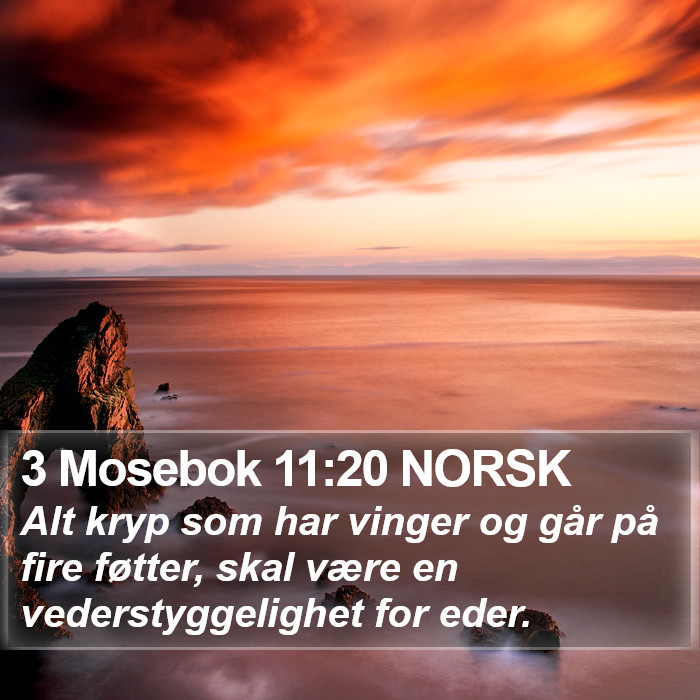 3 Mosebok 11:20 NORSK Bible Study