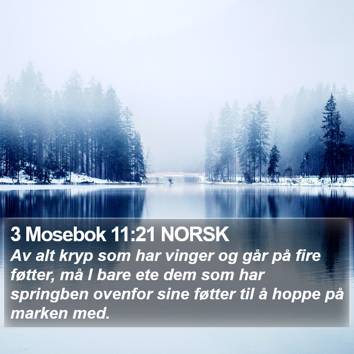 3 Mosebok 11:21 NORSK Bible Study