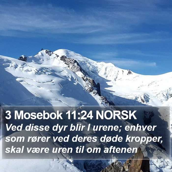 3 Mosebok 11:24 NORSK Bible Study