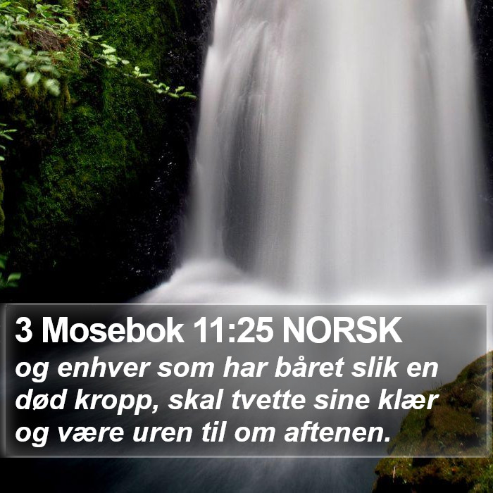 3 Mosebok 11:25 NORSK Bible Study