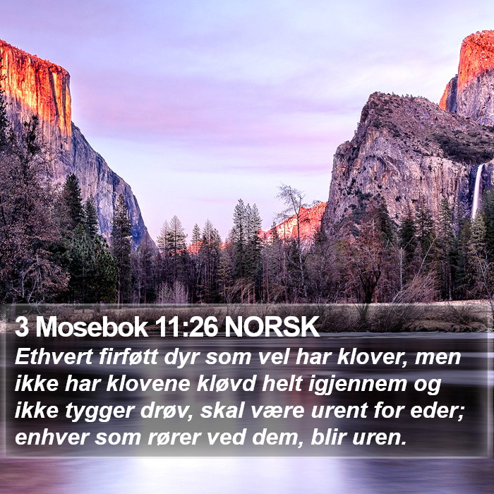 3 Mosebok 11:26 NORSK Bible Study