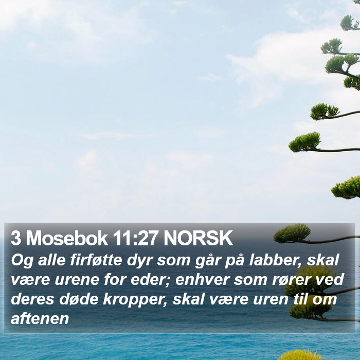 3 Mosebok 11:27 NORSK Bible Study