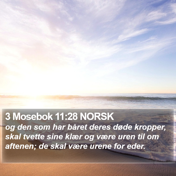 3 Mosebok 11:28 NORSK Bible Study
