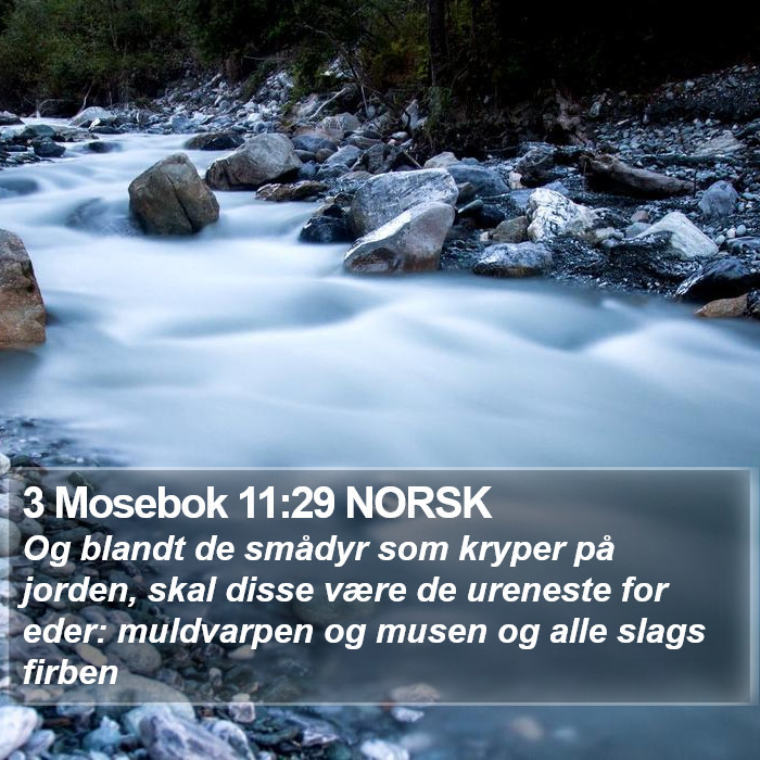3 Mosebok 11:29 NORSK Bible Study