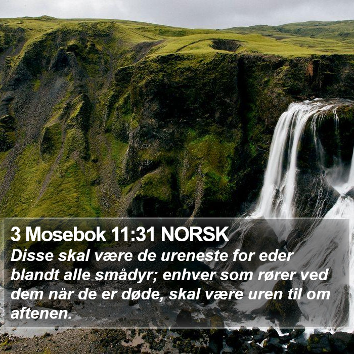 3 Mosebok 11:31 NORSK Bible Study