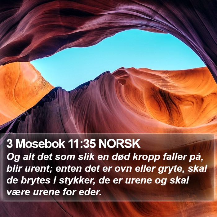 3 Mosebok 11:35 NORSK Bible Study