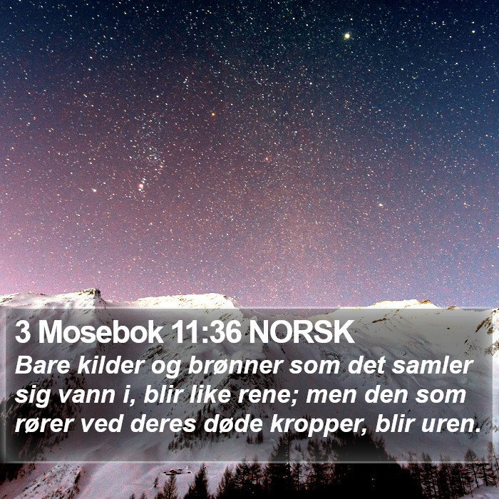 3 Mosebok 11:36 NORSK Bible Study